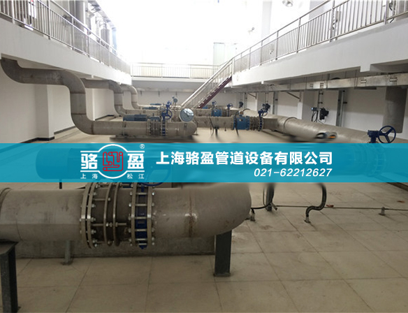 上海駱盈 遼寧丹東市三灣電站項目現(xiàn)場